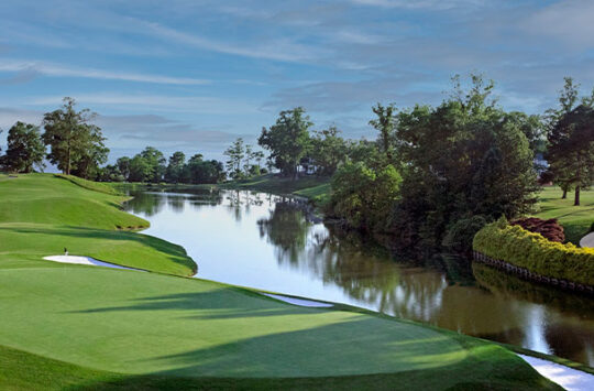 The Return to Meetings are on the Green